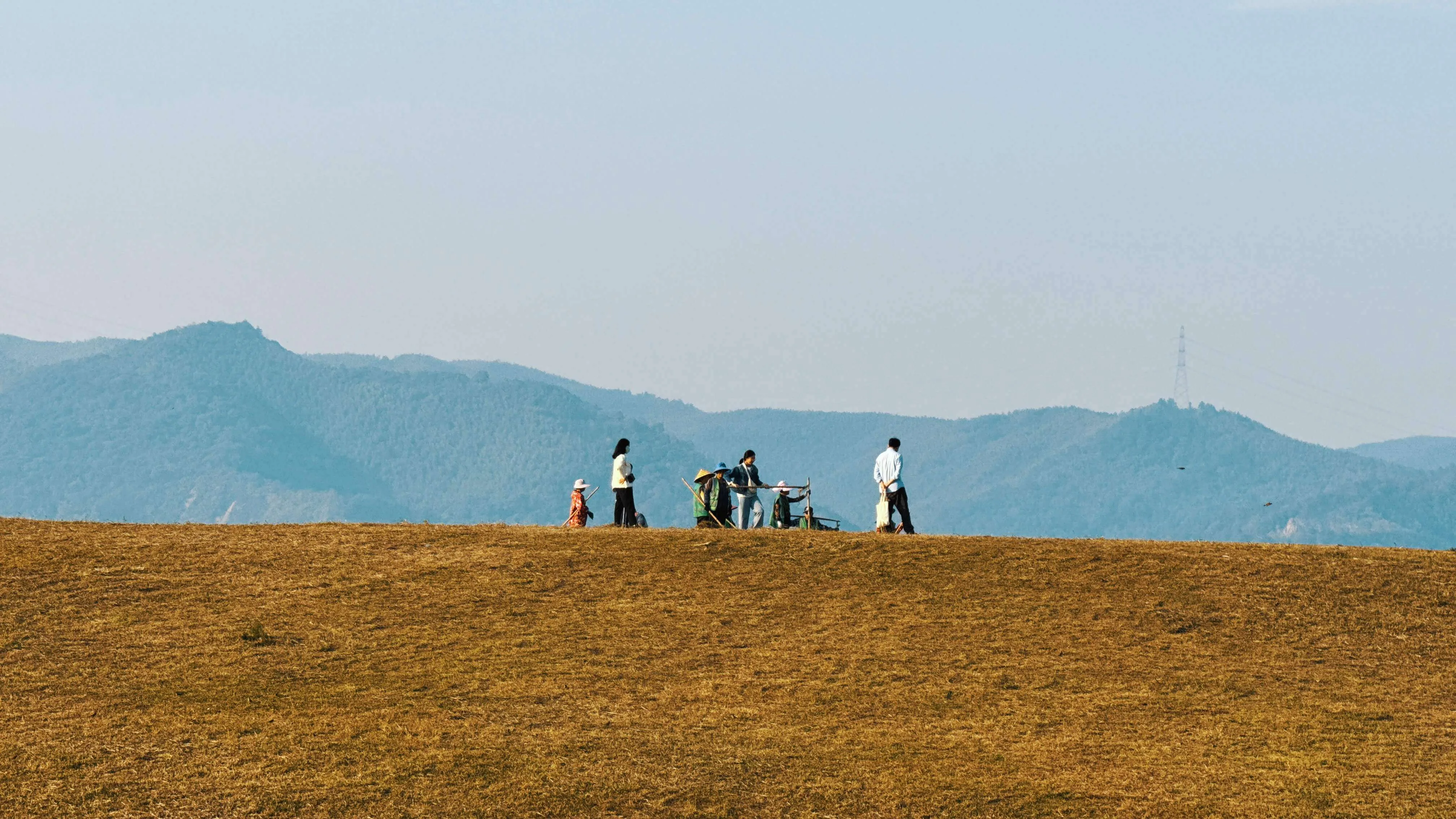 良渚古城遗址：中华五千年文化的见证者